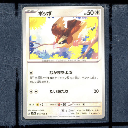 宝可梦PTCG 集换式正版卡牌朱紫151 波波 SV2A-016 日版