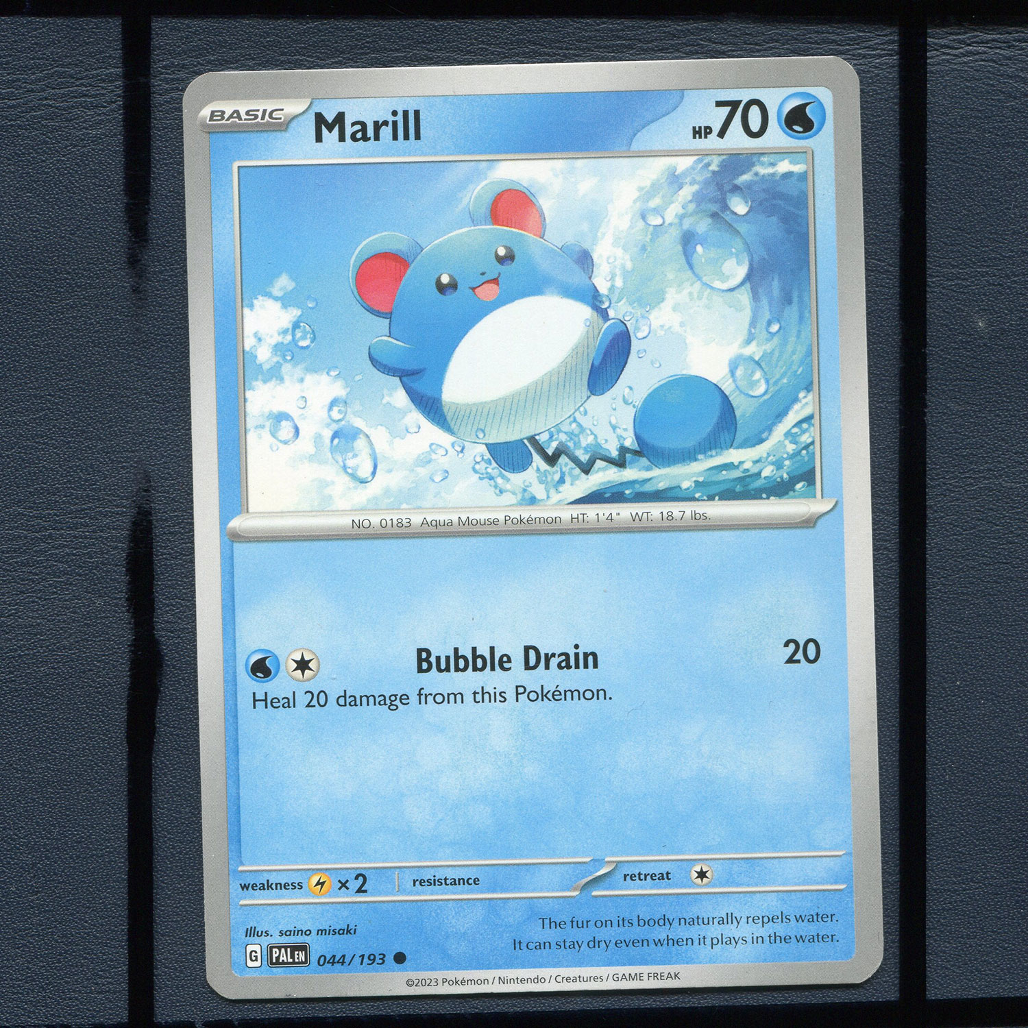 宝可梦美版英文版国际版 帕底亚进化 玛丽露 PAL-044