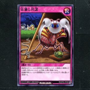 游戏王RD 正版卡牌 超速决斗 狂暴与共谋 KP02-JP046
