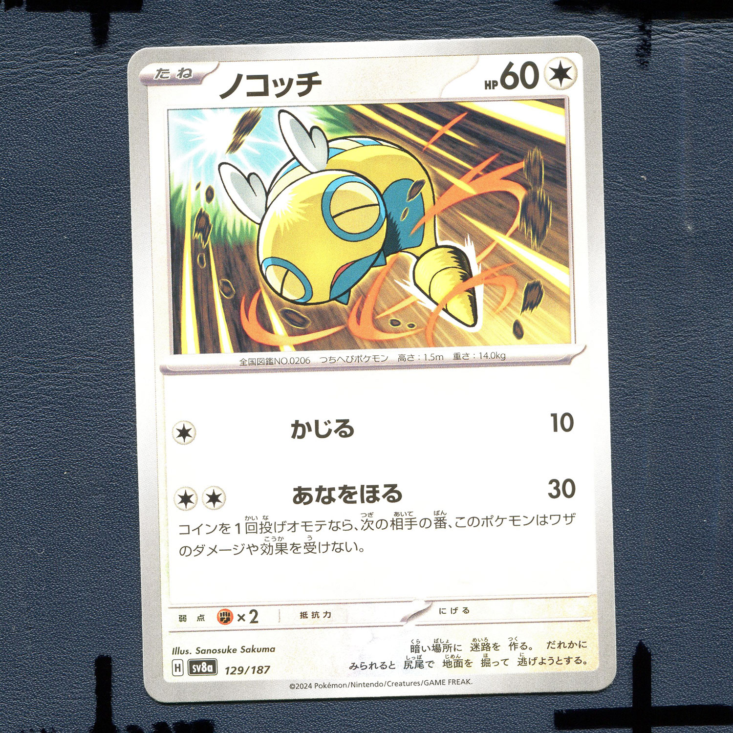 宝可梦PTCG正版卡牌 太晶盛典 土龙弟弟 SV8A-129 日版