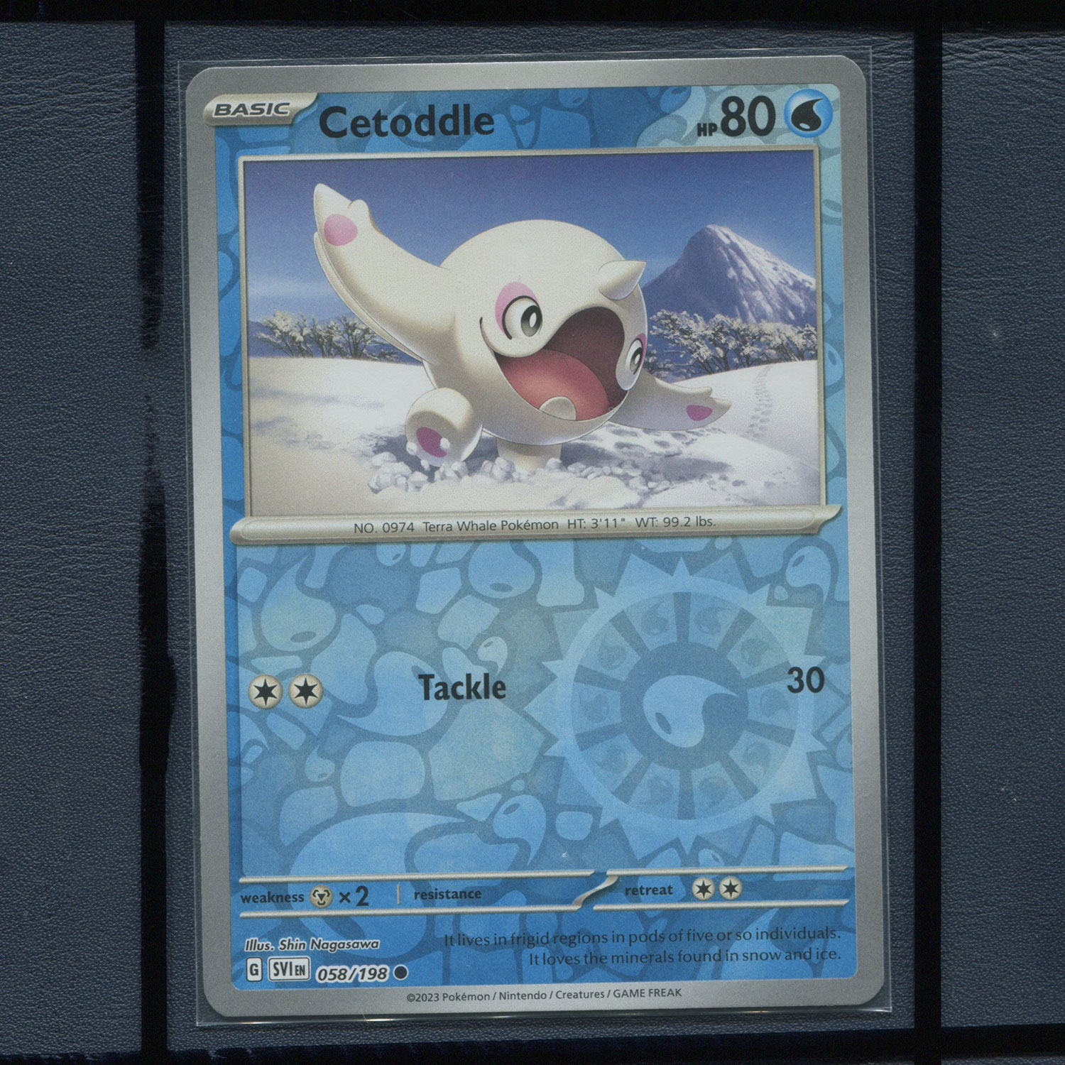 宝可梦美版英文版国际版 朱紫 走鲸 SVI-058 R 反闪