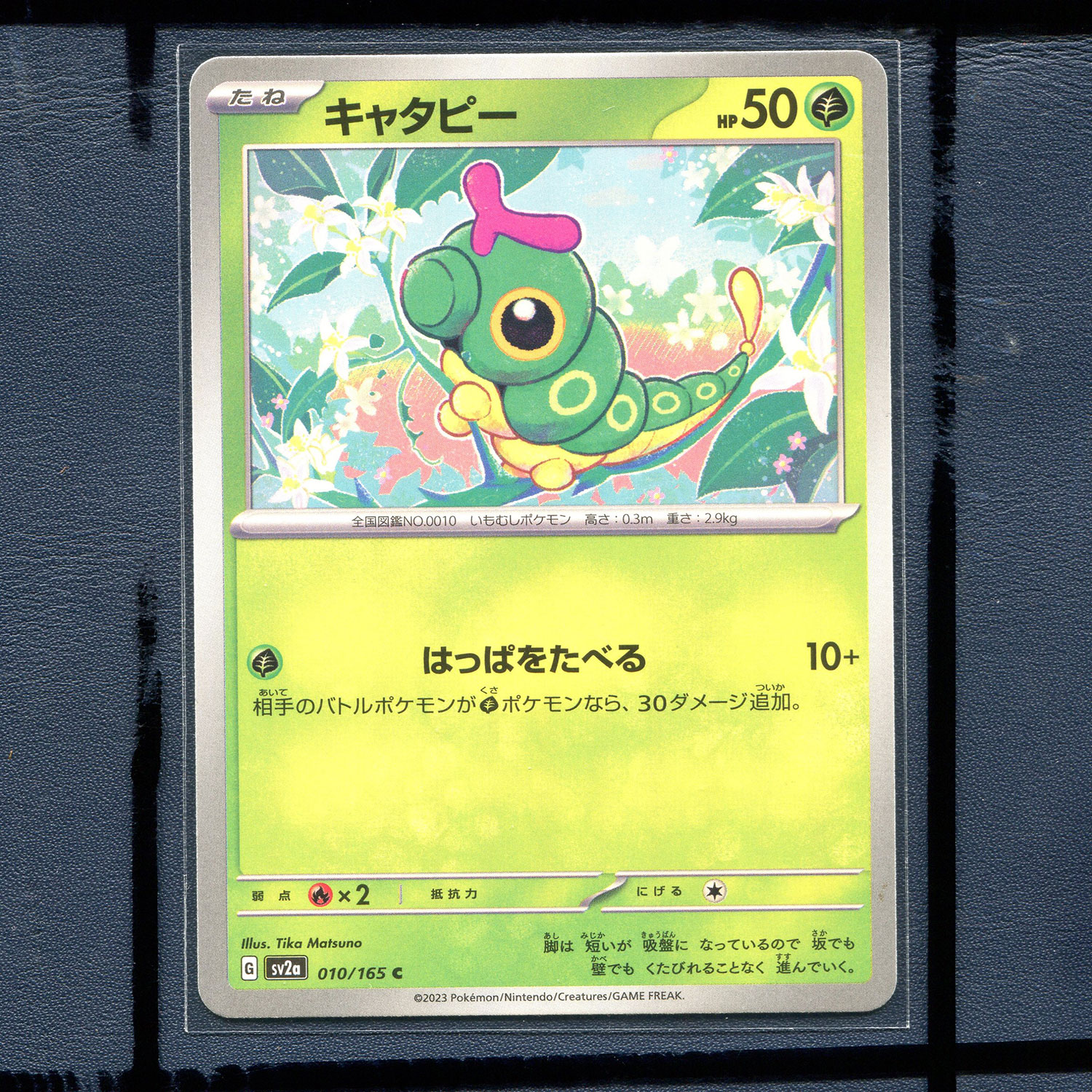 宝可梦PTCG 集换式正版卡牌朱紫151 绿毛虫 SV2A-010 日版