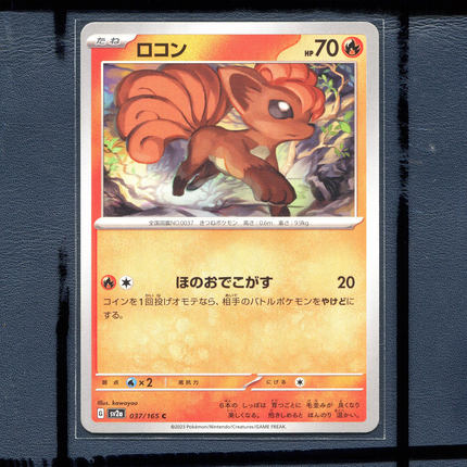 宝可梦PTCG 集换式正版卡牌朱紫151 六尾 SV2A-037 日版