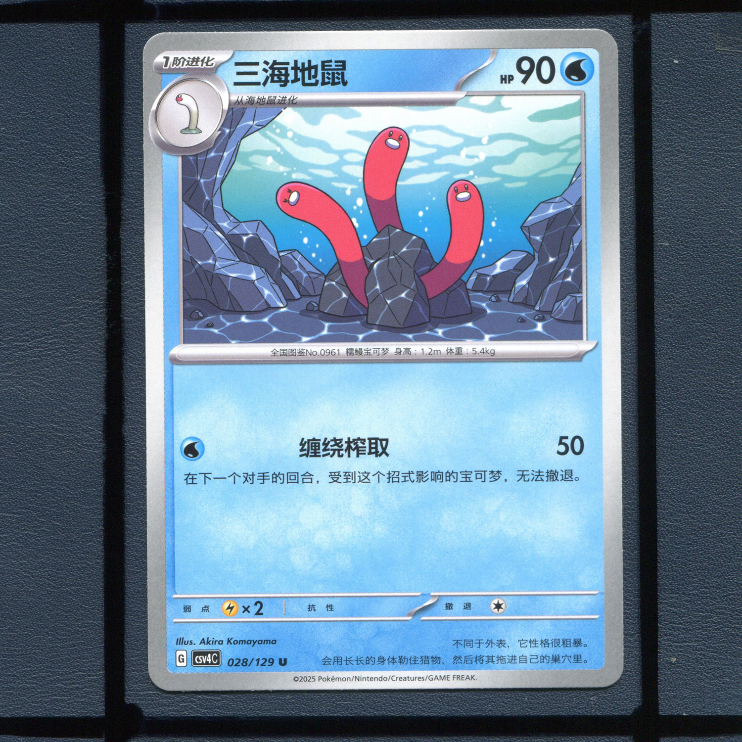 三海地鼠CSV4C-028宝可梦正版单卡简中嘉奖回合