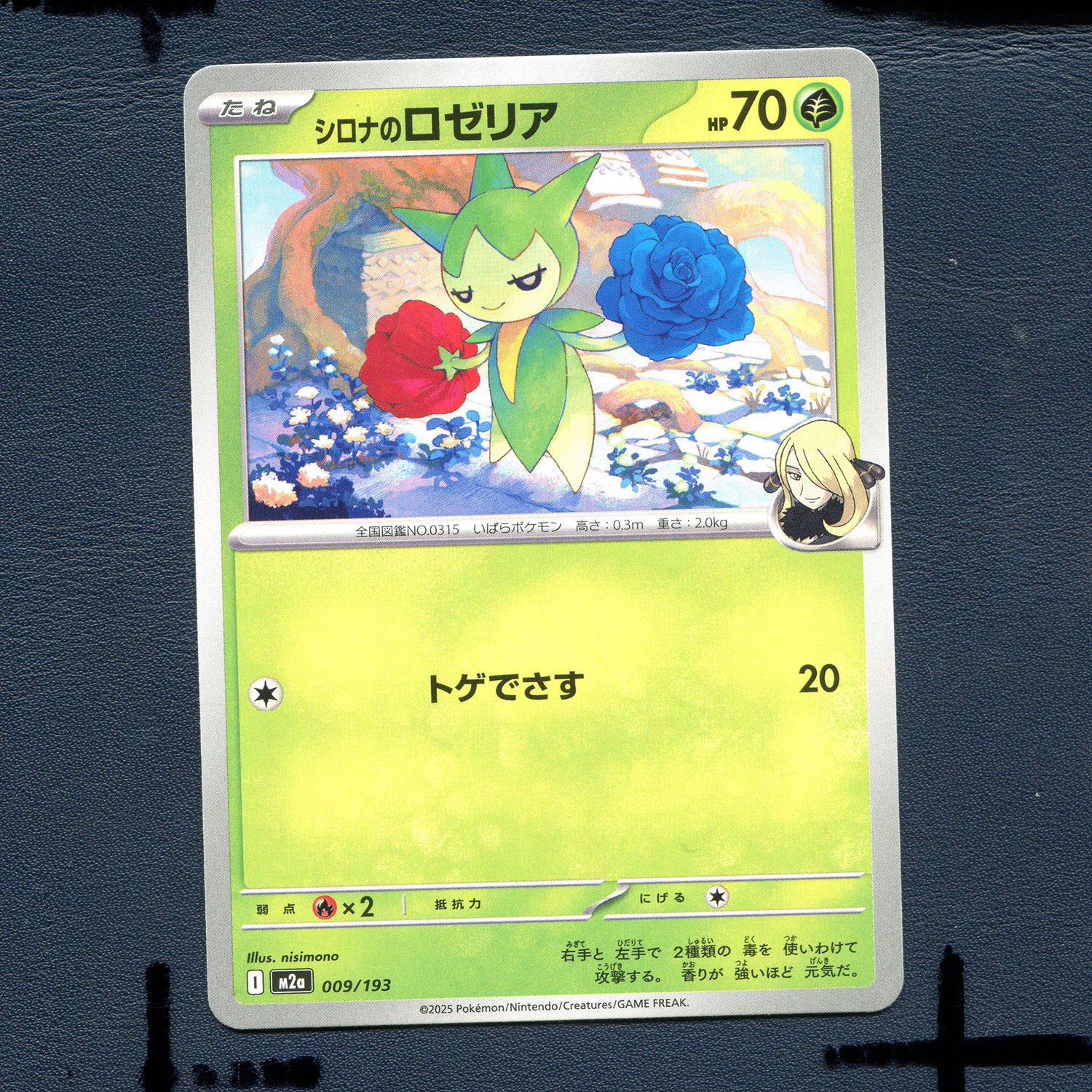 宝可梦PTCG正版卡牌 超级梦想EX竹兰的毒蔷薇 M2A-009 日版