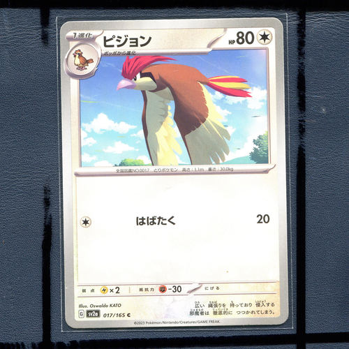 宝可梦PTCG 集换式正版卡牌朱紫151 比比鸟 SV2A-017 日版