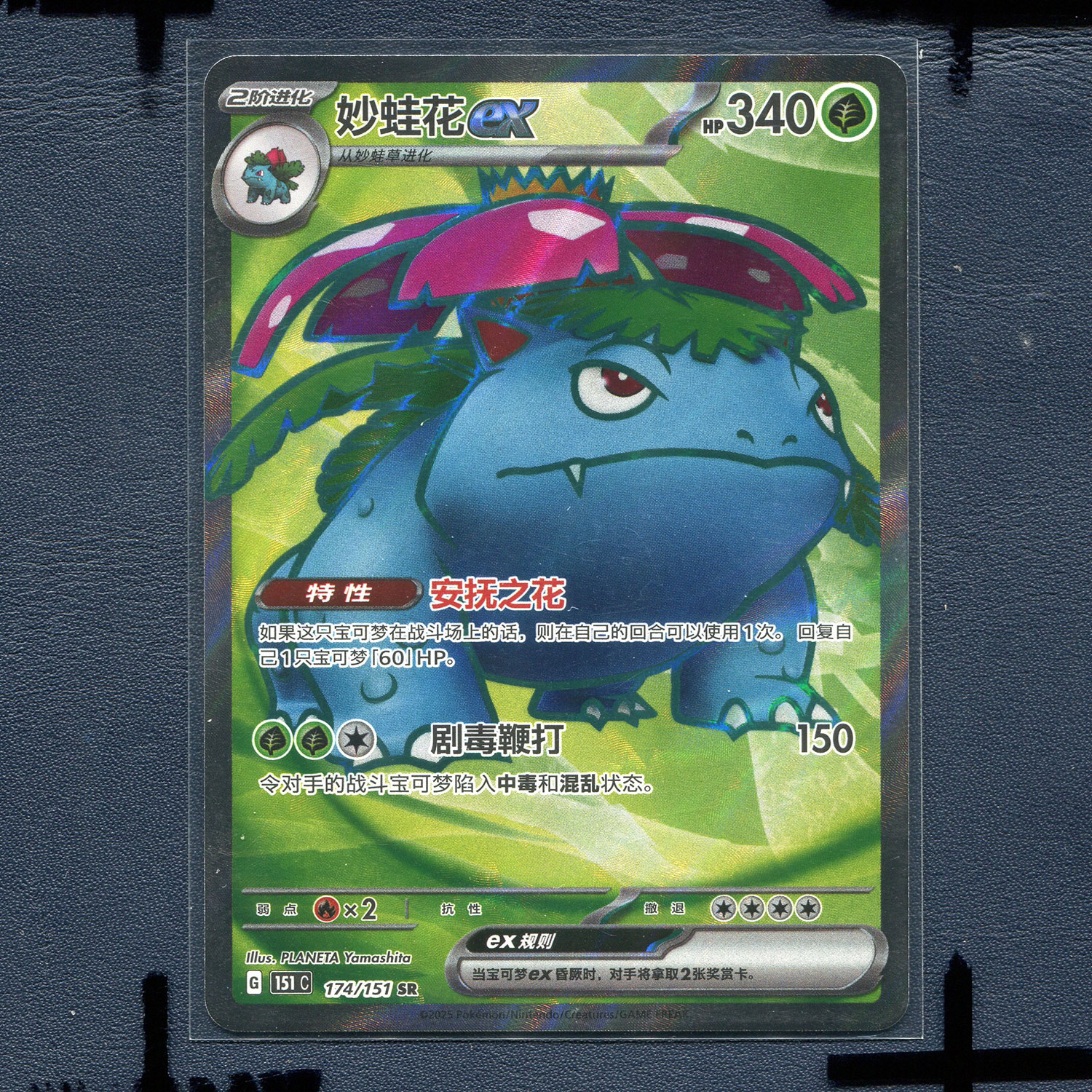 宝可梦 简中正版卡牌 收集啦151旅 妙蛙花ex 151C-174 SR