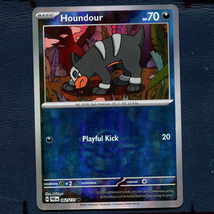 宝可梦PTCG正版卡牌 棱镜进化 戴鲁比 PRE-062 精灵球闪 美版