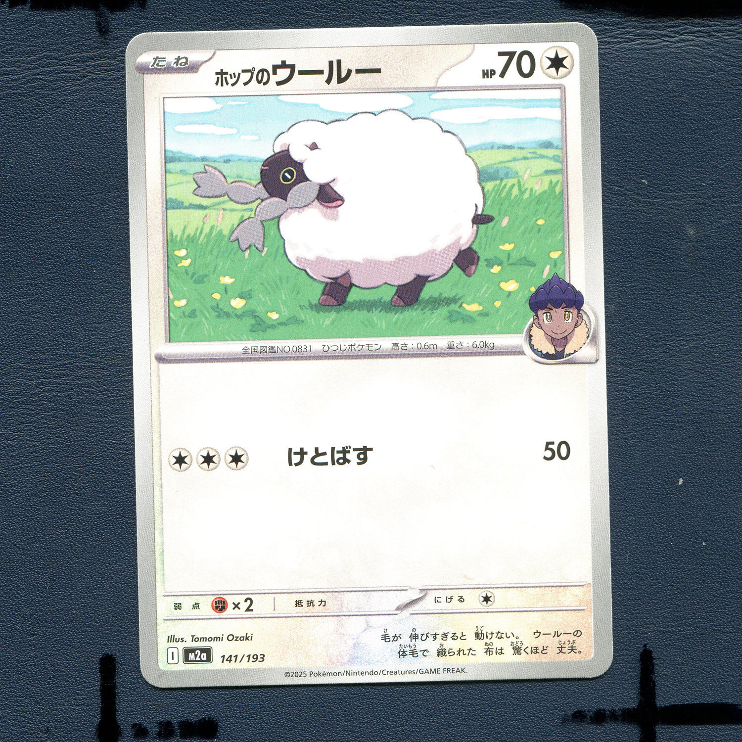 宝可梦PTCG正版卡牌 超级梦想EX 赫普的毛辫羊 M2A-141 日版