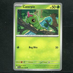 宝可梦 TCG 正版卡牌 英文版 同行之旅 绿毛虫 JTG-001  美版