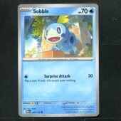 英文版 正版 宝可梦PTCG MEG 卡牌 泪眼蜥 美版 超级进化 039