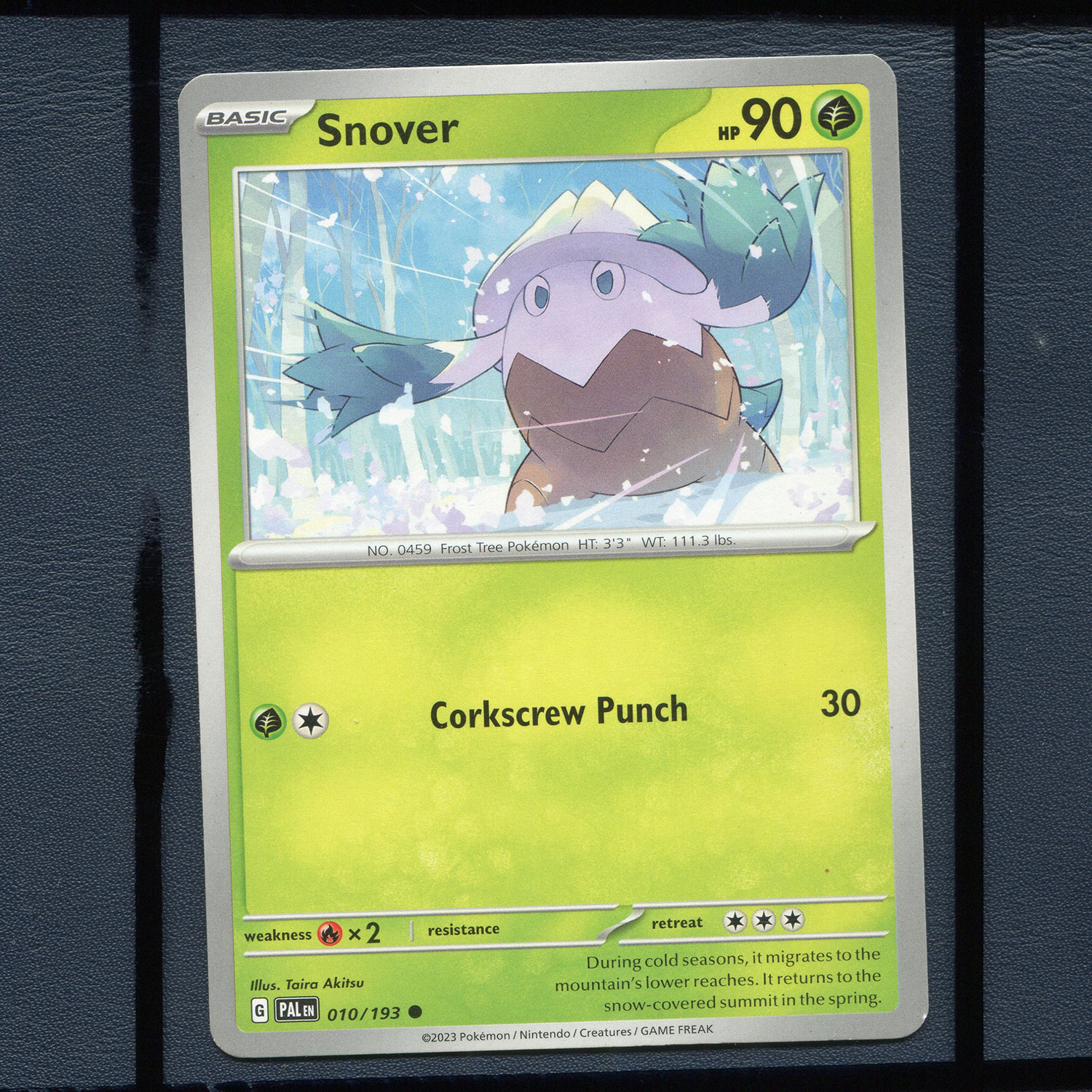 宝可梦美版英文版国际版 帕底亚进化 雪笠怪 PAL-010