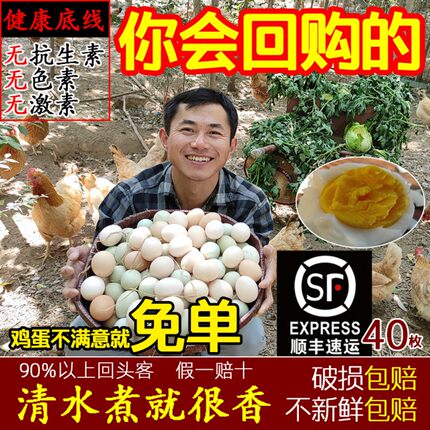 野外林下散养土鸡蛋40枚柴鸡蛋新鲜农家自养富硒月子虫草笨鸡蛋
