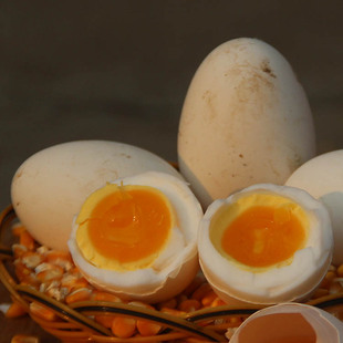 新鲜鹅蛋孕妇农家散养土鹅蛋正宗特产12枚大个生鹅蛋精品批发