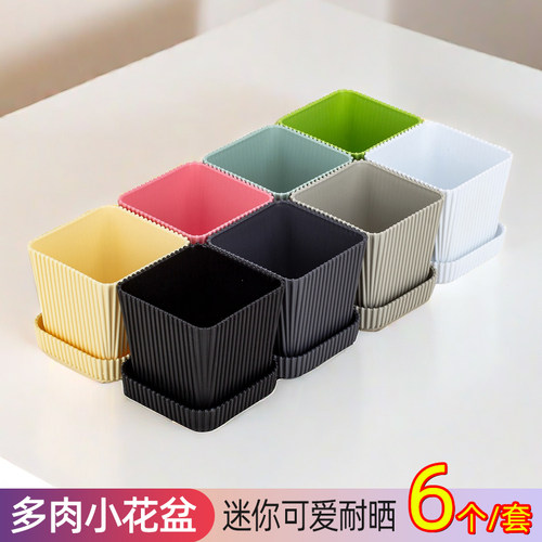 迷你多肉花盆树脂田园带托盘