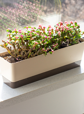 多肉花盆长条型专用窄边细长窗台种植塑料阳台花盘花槽盆栽家用