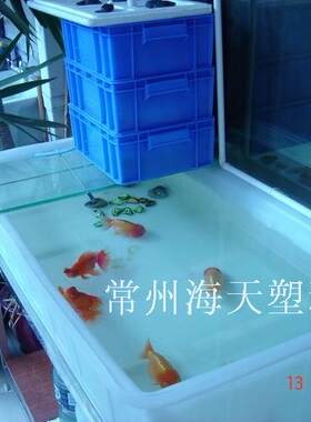 塑料水产养殖储存箱