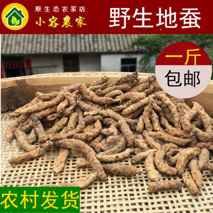 地蚕广西野生无硫土冬虫草参白虫草参地蚕草石蚕 泽兰根500克包邮