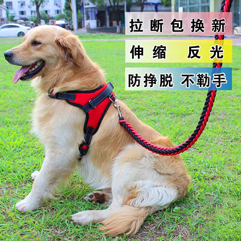 狗狗牵引绳胸背带套装麻花狗绳小型大型犬金毛泰迪雪纳瑞狗链防脱