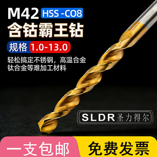圣力得尔M42直柄含钴镀钛霸王钻 13mm 不锈钢模具钢钻咀台钻钻头1