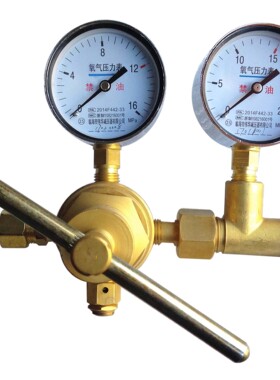 16x25高压减压器氮气YQD-370氢气YQQ-370氧气YQY-370空气YQK全铜