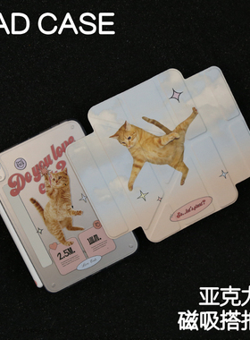 橘猫跳跳磁吸搭扣Y型亚克力ipad8/9保护套2024硬壳Air4/5/6/pro11/10.9平板壳iPad10.2寸防弯摔笔槽mini6/7