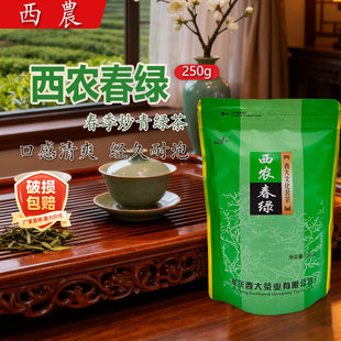 西农春绿250g克春季 炒青绿茶西大文化茗茶重庆特产茶叶绿茶家用