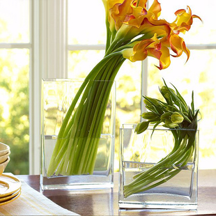 创意花瓶玻璃水培花盆透明长方形扁缸扁形鱼缸简约台面鲜花花器