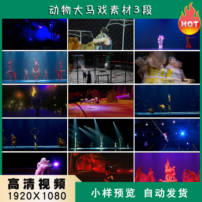 动物大马戏魔幻杂技特技马戏团表演高清实拍视频素材