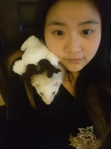 绚彩人生小momo家庭小宠寄养屋 - 南京地区宠物专车接送服务