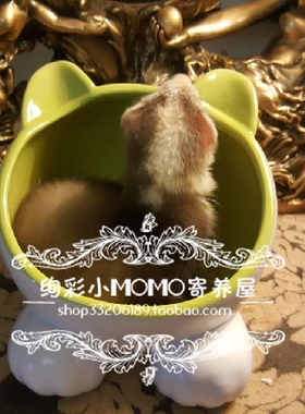 美国vivipet 小Q碗 宠物貂陶瓷碗高脚防掀翻食盆 仓鼠 花枝睡窝