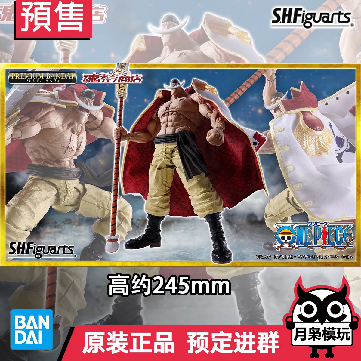 定金 月枭 万代 魂限 SHF 海贼王 爱德华 纽哥特 白胡子 顶上决战