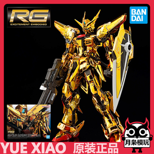 月枭 万代 RG 1/144 拂晓高达 大鹫装备 电镀 SEED 拼装模型
