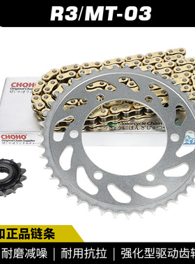 适用于雅马哈YZF-R3/MT-03 15-22套链链轮链盘牙盘征和油封链条