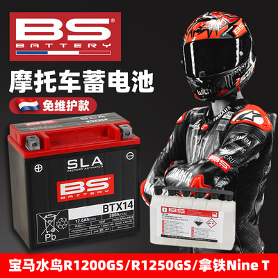 宝马水鸟1250GS法国BS大功率电池