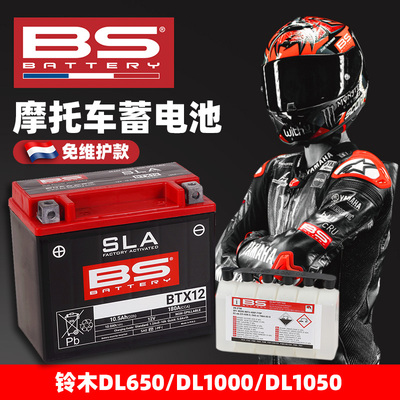 法国进口大功率免维护自放电率低