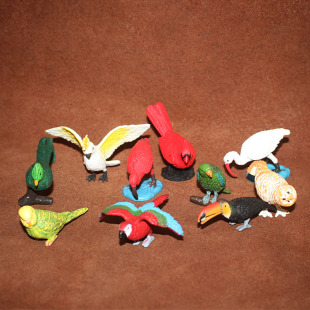 朱鹭等10打包 鹦鹉娟鸟猫头鹰 Safari仿真野生飞鸟模型 儿童玩具