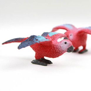 金刚鹦鹉 仿真动物模型玩具野生动物飞鸟 safari 正品