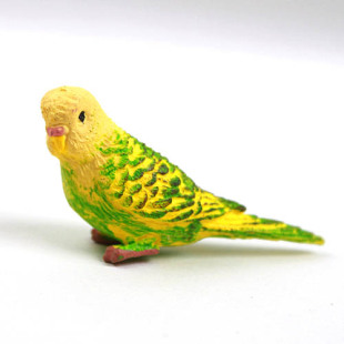 仿真野生动物模型玩具场景摆件 散货 长尾鹦鹉 正版 safari