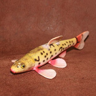 safari 泥鳅鲦鱼 仿真海洋模型玩具场景摆件