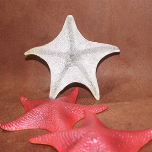 safari美国正品 海星大号 仿真动物模型玩具海洋动物