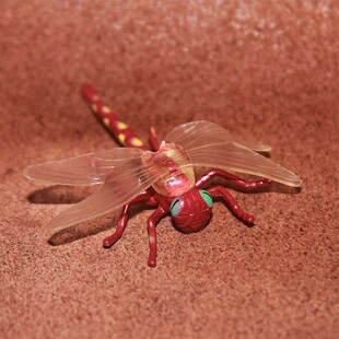 safari 蜻蜓 仿真昆虫模型玩具场景摆件