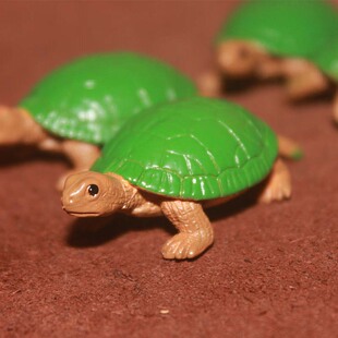 锦龟 彩色龟 箱龟 仿真宠物模型玩具场景摆件 safari
