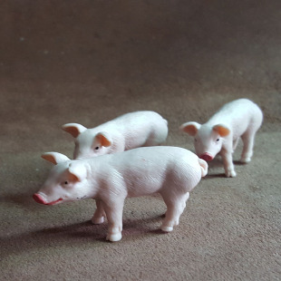 safari 小公猪崽 仿真农场动物模型玩具场景摆件