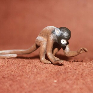 长尾猴 松鼠猴 safari 仿真野生动物模型玩具