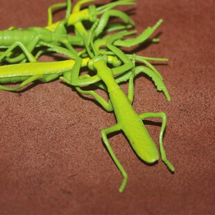 safari 螳螂1：1比例 仿真昆虫模型玩具场景摆件