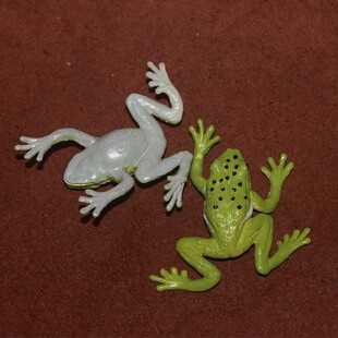 青蛙 绿色树蛙 safari 仿真野生动物模型玩具场景摆件