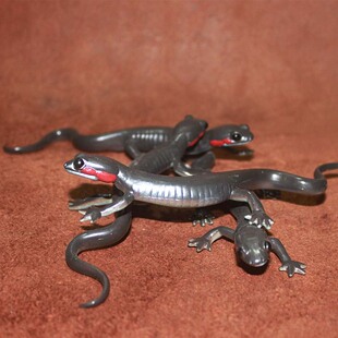 safari 仿真两栖动物模型玩具摆件 红颊鲵 娃娃鱼 大鲵 蜥蜴