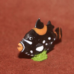 黑白斑点小丑鱼 热带鱼 safari 仿真海洋动物模型玩具