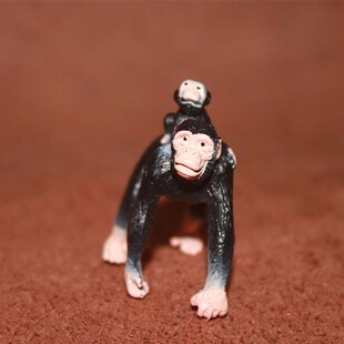 背宝宝 猴子 猩猩 仿真野生动物模型玩具 safari